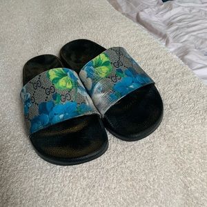 Fucci slides